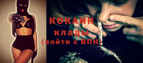 амф Верхний Тагил