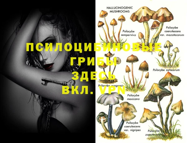 молекула духа Бугульма