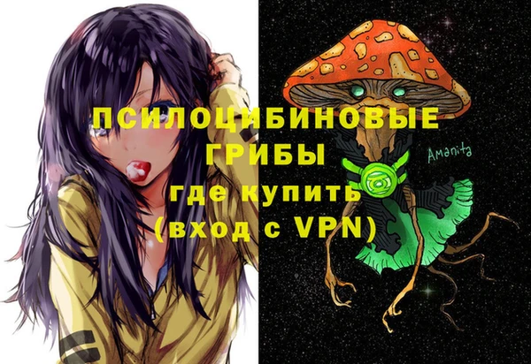 марки nbome Бородино