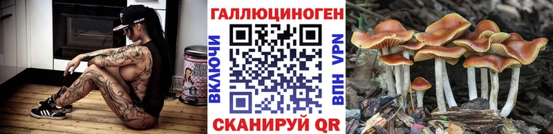Галлюциногенные грибы Cubensis  Тогучин 
